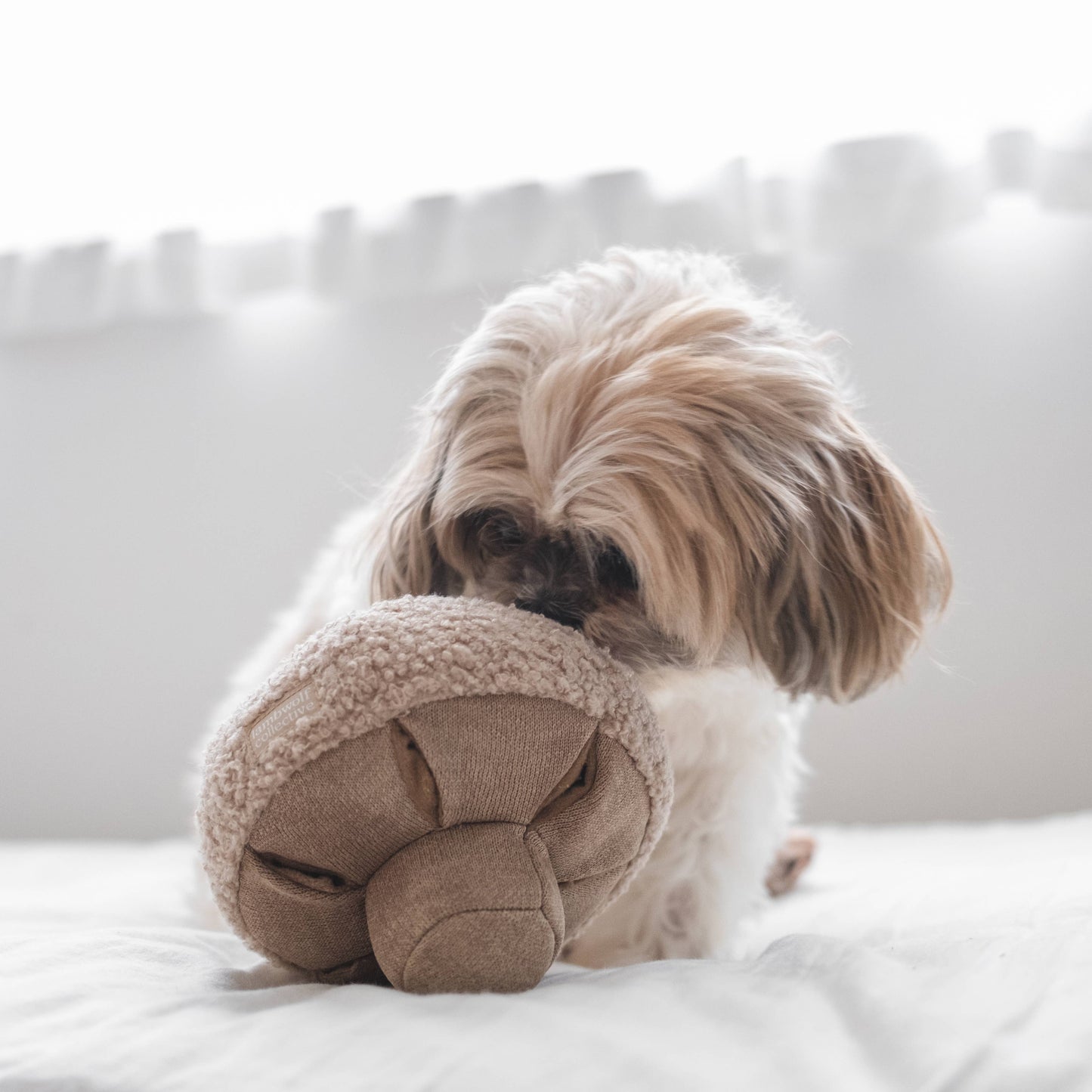 Hund schnüffelt neugierig am GUU Pilzspielzeug von Lambwolf Collective