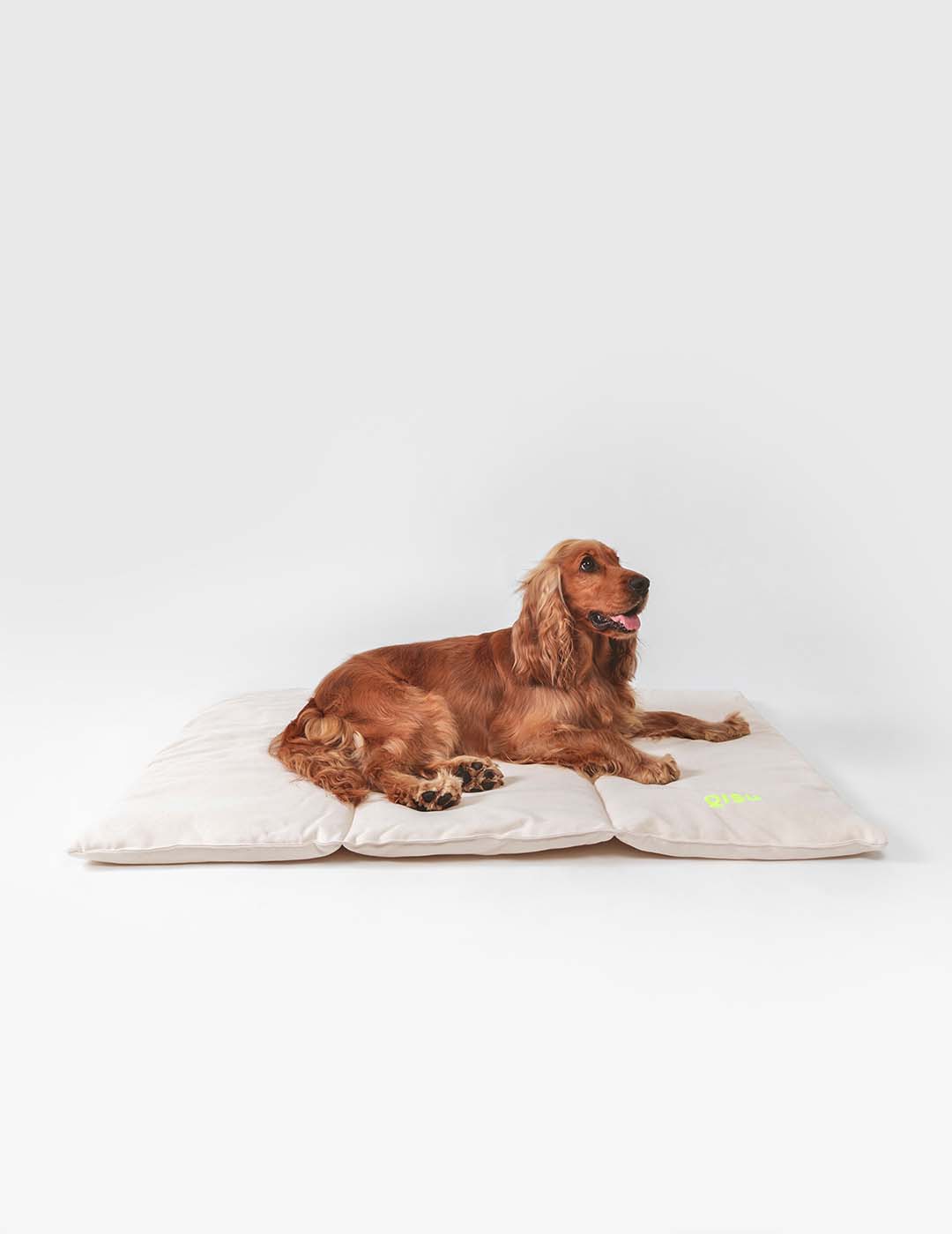 Hund auf dem Nomad Bed von Qisu in Beige – gemütliches Reisebett für unterwegs und zuhause