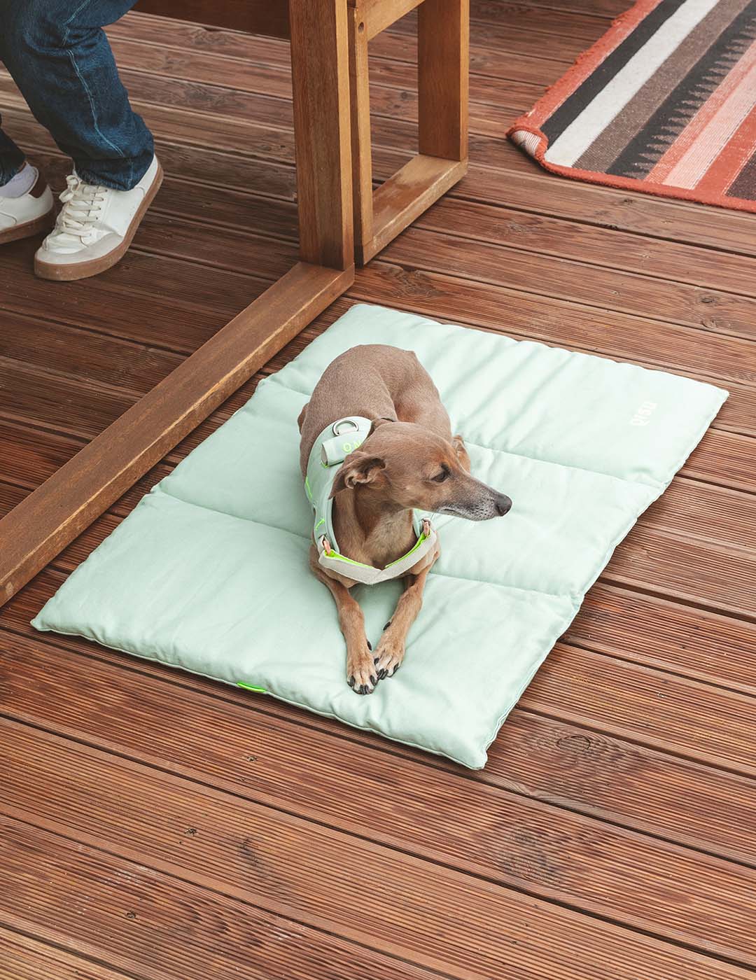 Hund ruht unterwegs auf dem Nomad Bed von Qisu in Minzgrün – ideal für Reisen & Ausflüge