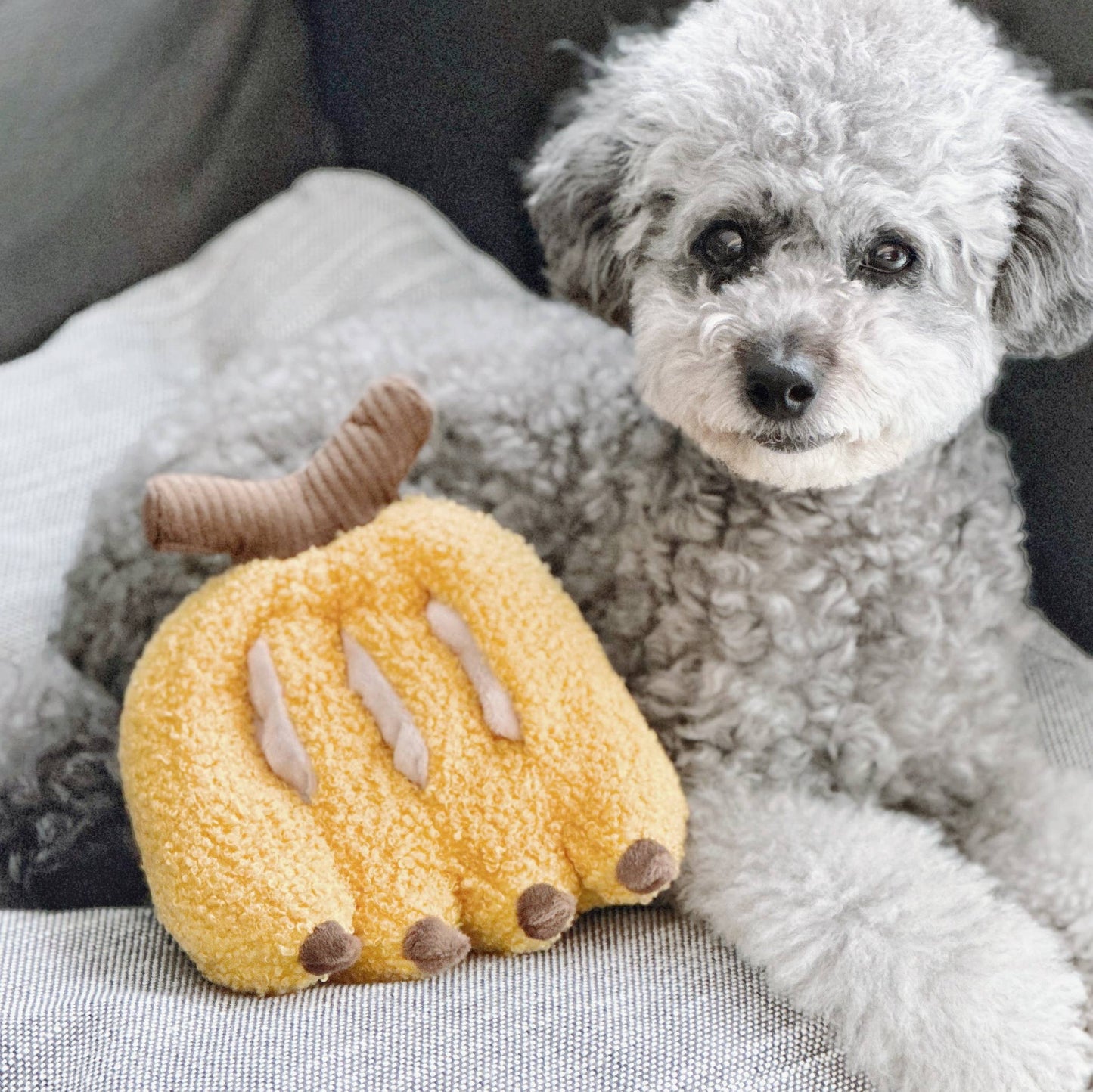 Hund sitzt neben dem Snuffle Banana Spielzeug von Lambwolf Collective
