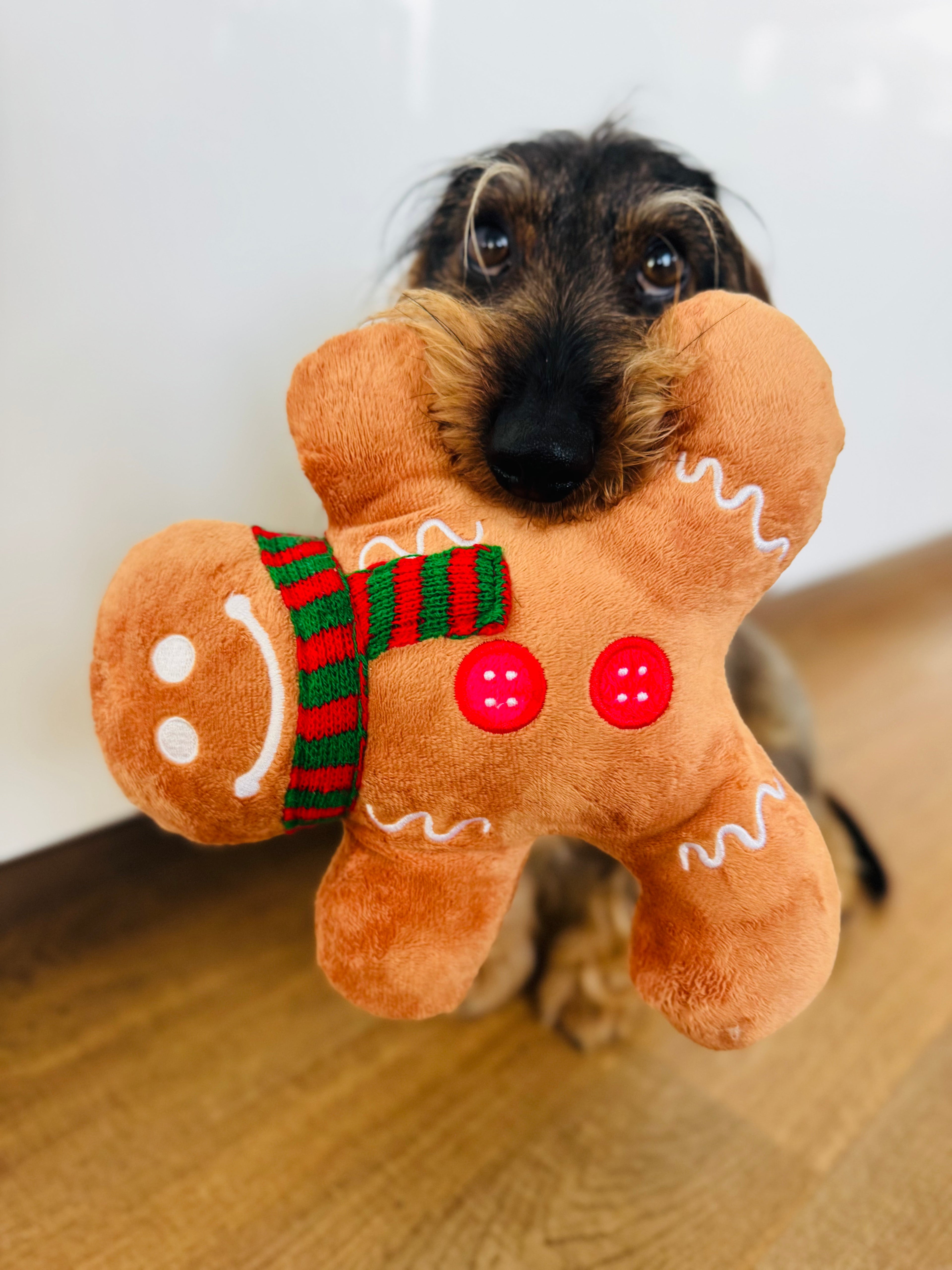 Lebkuchenmann Hundespielzeug