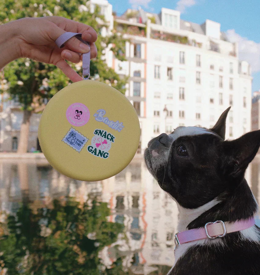 Mit Herz & Pfote unterwegs: Wandertipps für dich und deinen Liebling