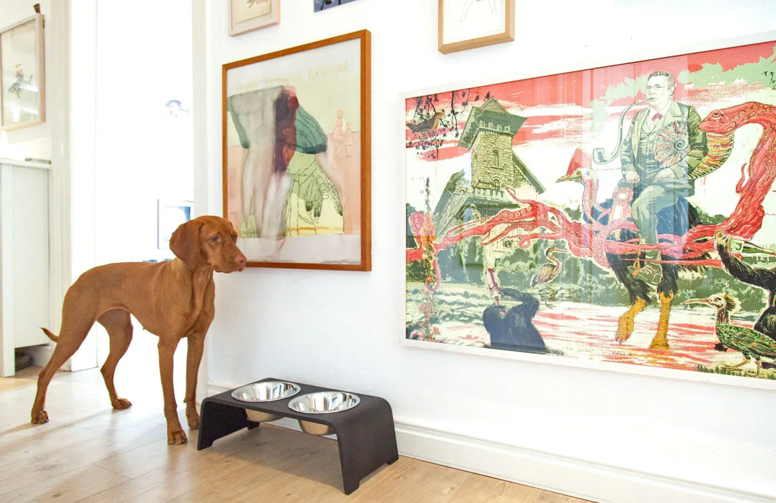 Die dogBar