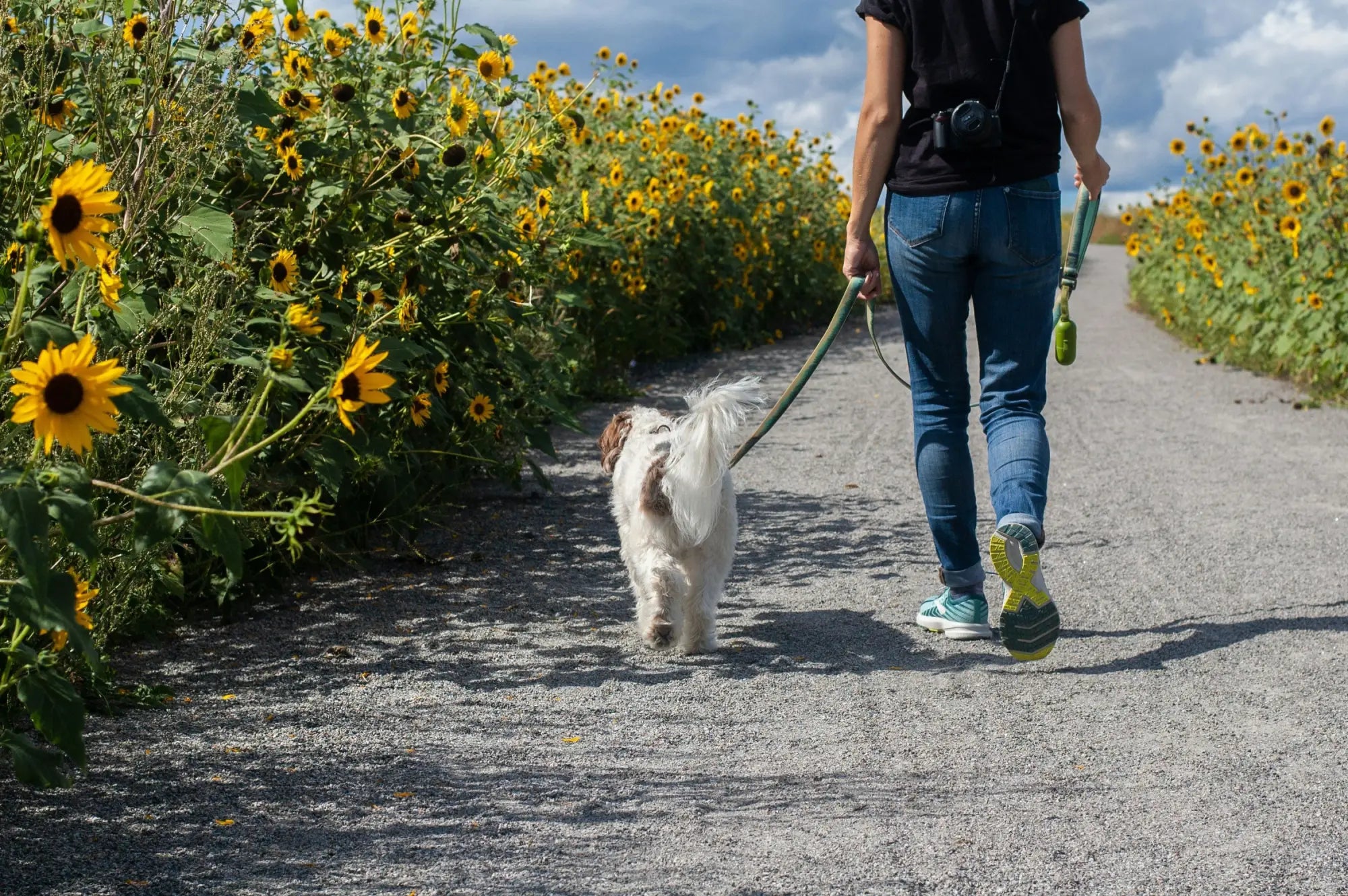 Gassizeit mit Herz: So wird jeder Spaziergang zum Lieblingsmoment