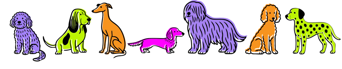 🐶 Kleine Rituale großes Glück – so wird euer Hundealltag besonders