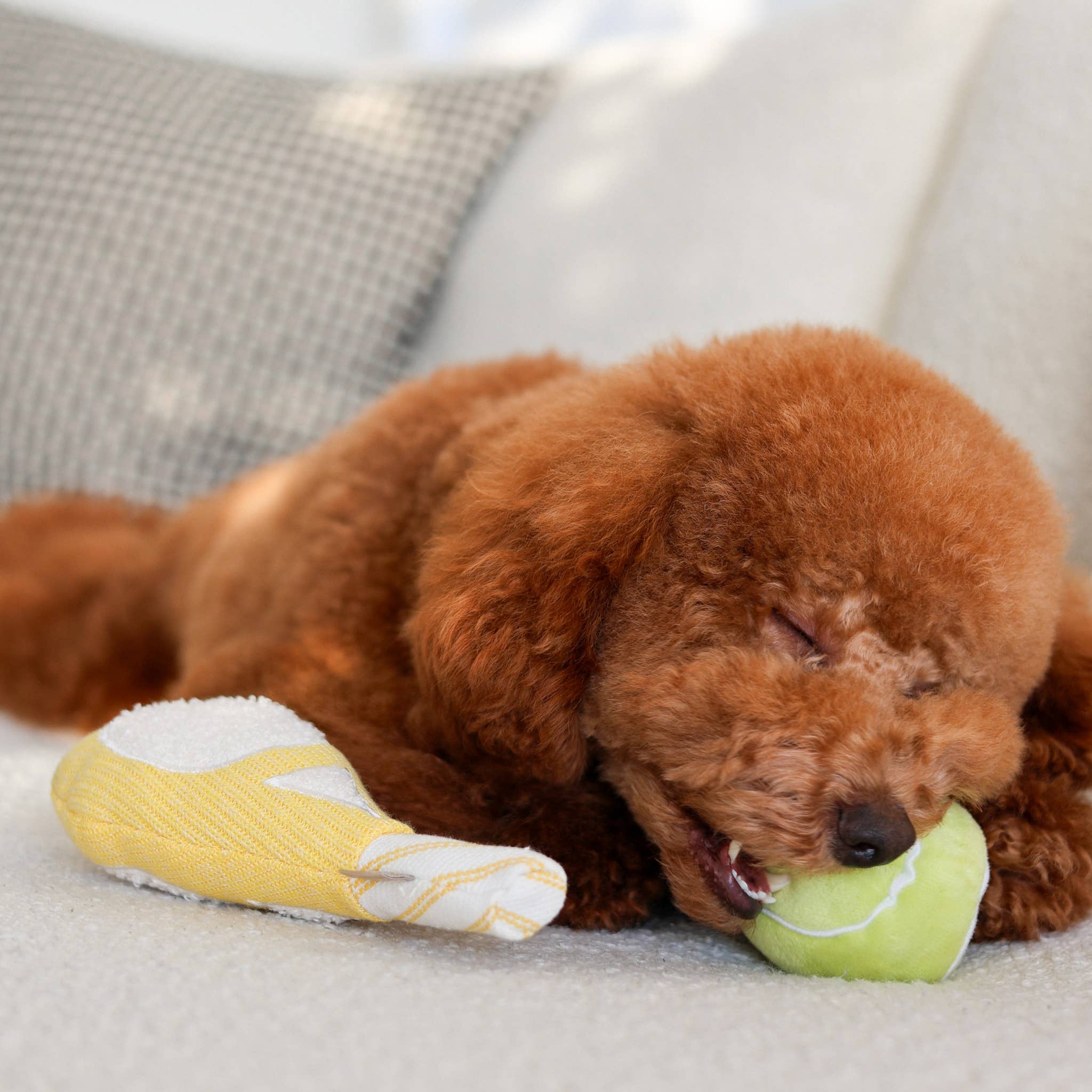Beschäftigungsspielzeug | TENNIS POP - Hundespielzeug
