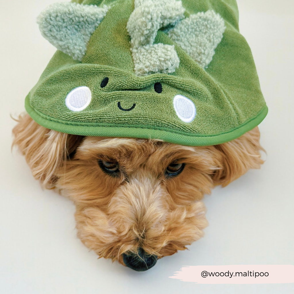 Hunde Bademantel | Dinopup - Hundebademantel