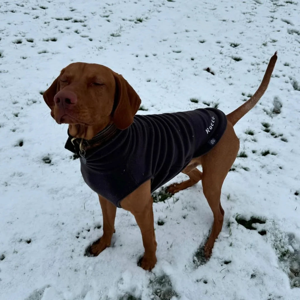 Fleecepullover für grosse Hunde | Charcoal Hundepullover