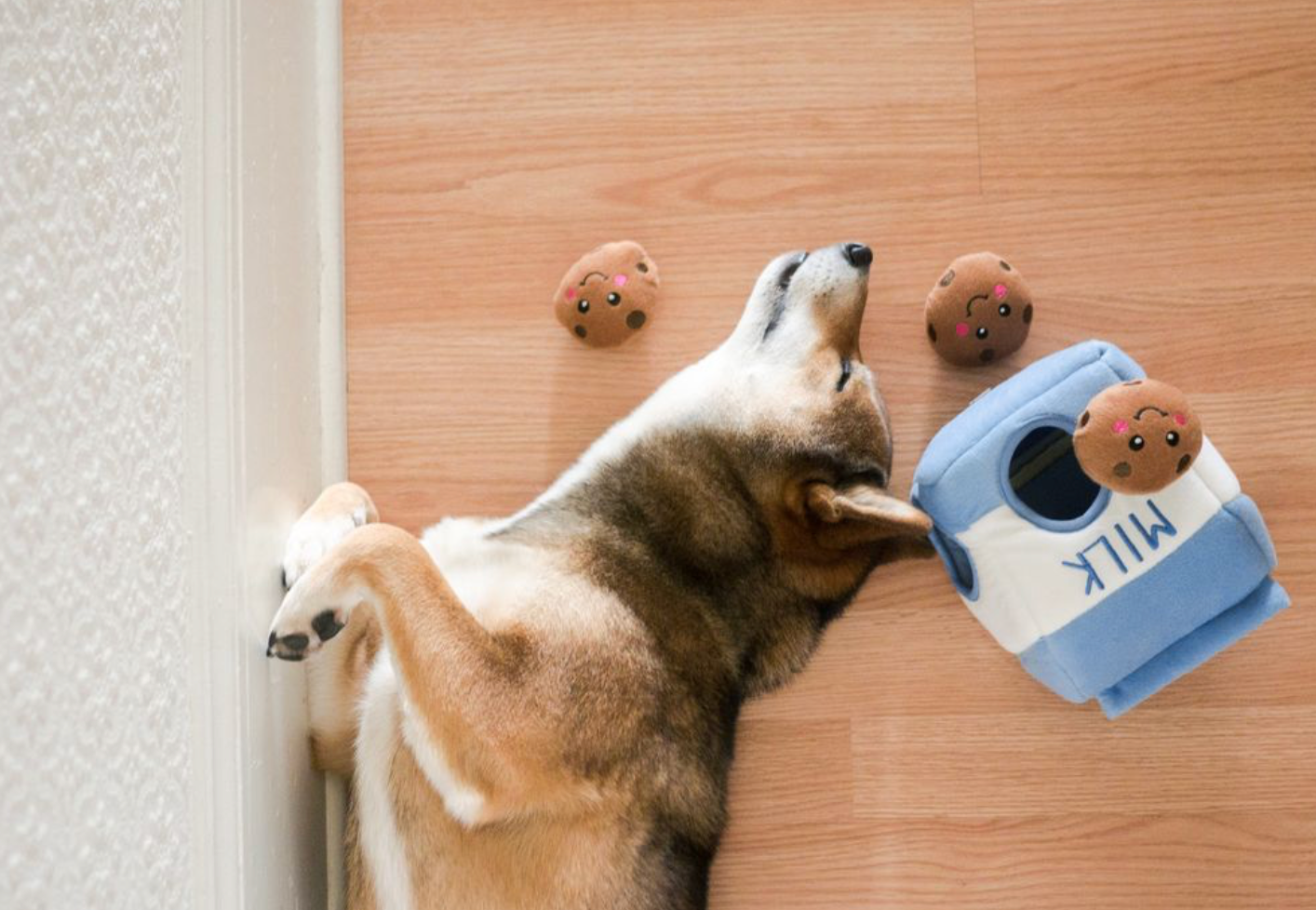 Beschäftigungsspielzeug | Zippy Burrow Milch und Kekse - Hundespielzeug