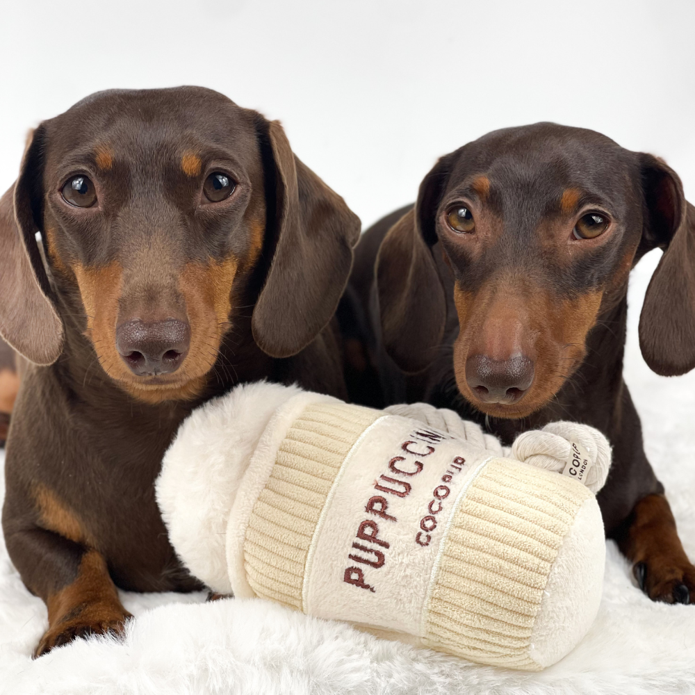 Hundespielzeug | Puppuccino - Hundespielzeug