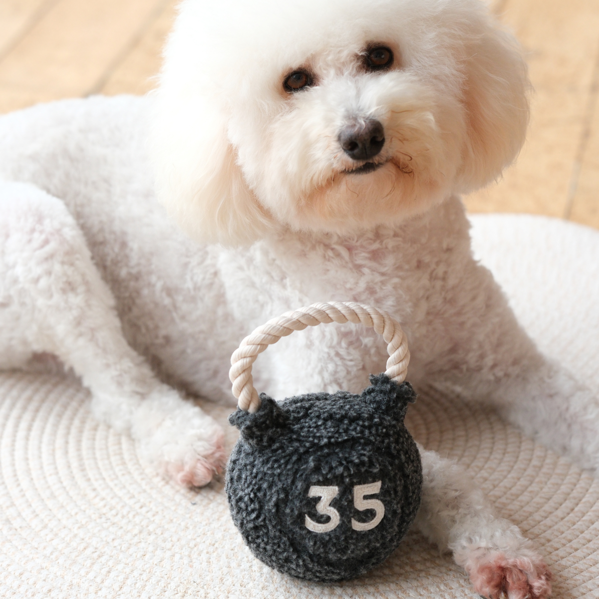 KETTLEBELL Hundespielzeug mit versteckten Quietschern