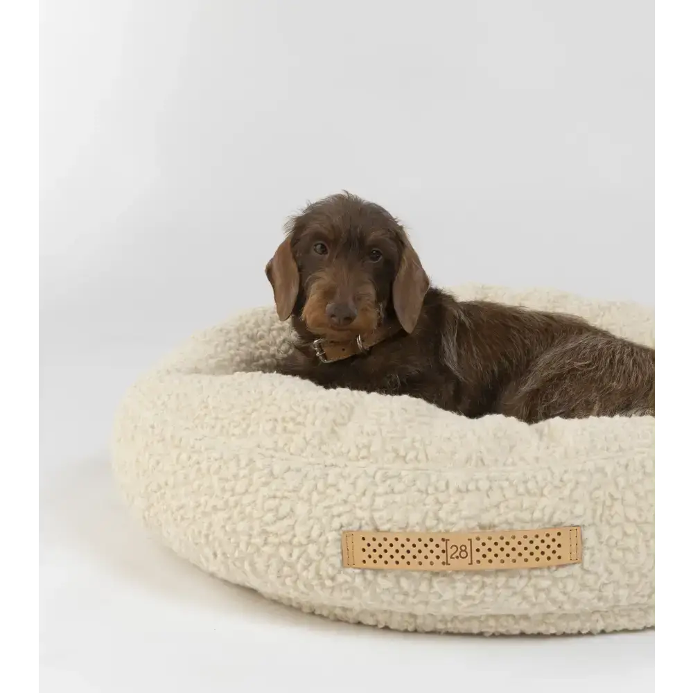 2.8 Duepuntootto Fulvio Hundebett – hygienisches, stilvolles Hundekissen mit separaten Polsterkammern für optimalen Komfort.