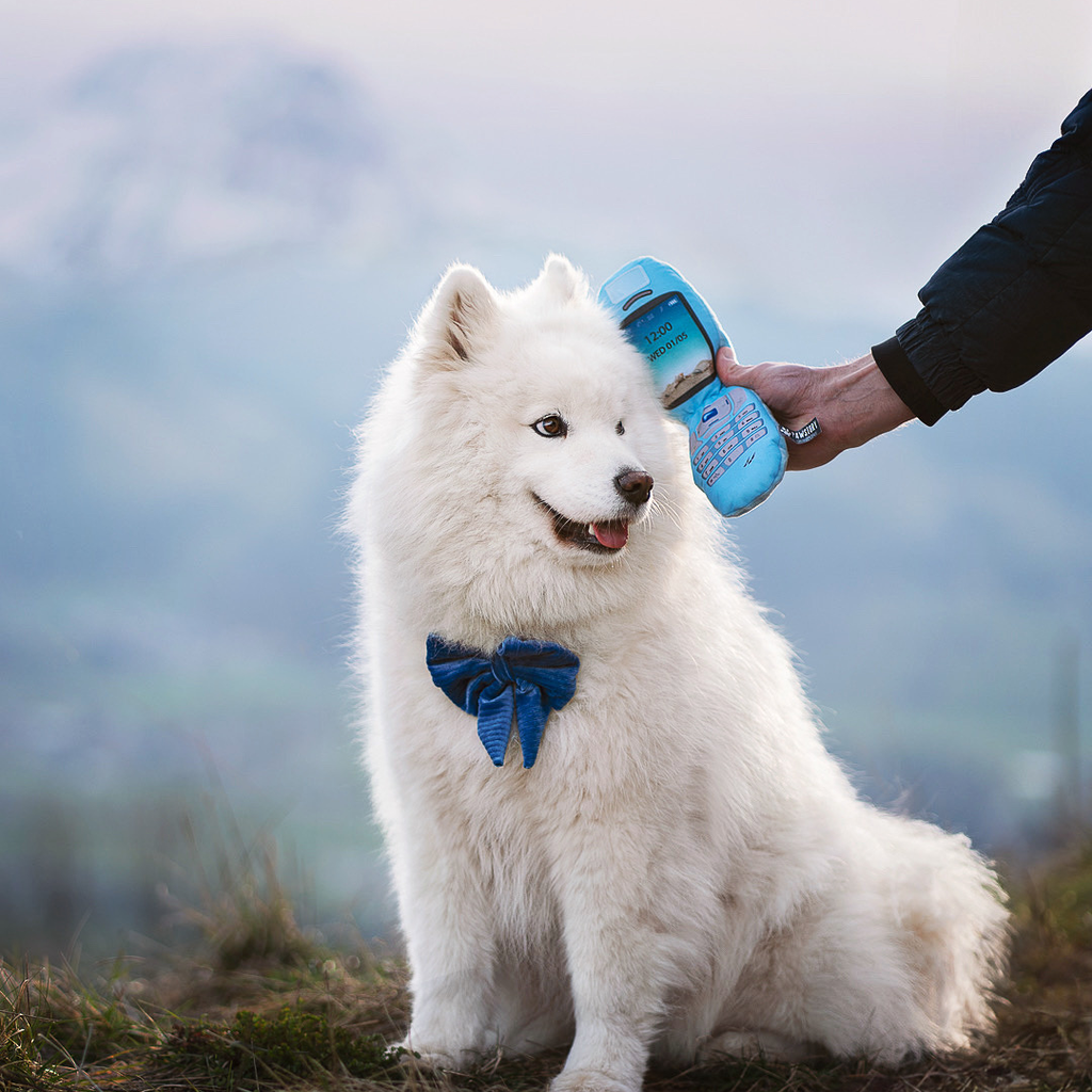 Hundespielzeug | Klapp Handy - Hundespielzeug