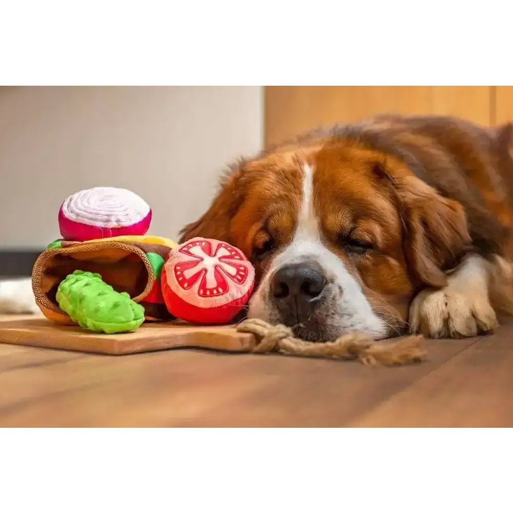 Hund spielt mit dem 3-in-1 Jumbo Burger Hundespielzeug von Pawstory, interaktives Spielzeug mit Quietschgeräuschen