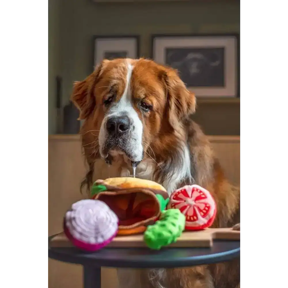 omaten-Mini-Spielzeug aus dem 3-in-1 Jumbo Burger von Pawstory, interaktives Quietschspielzeug