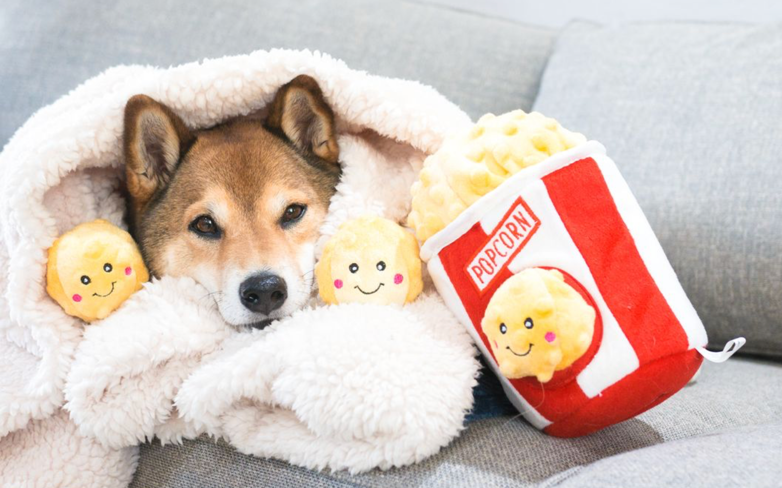 Beschäftigungsspielzeug | Zippy Burrow Popcorn-Eimer - Hundespielzeug