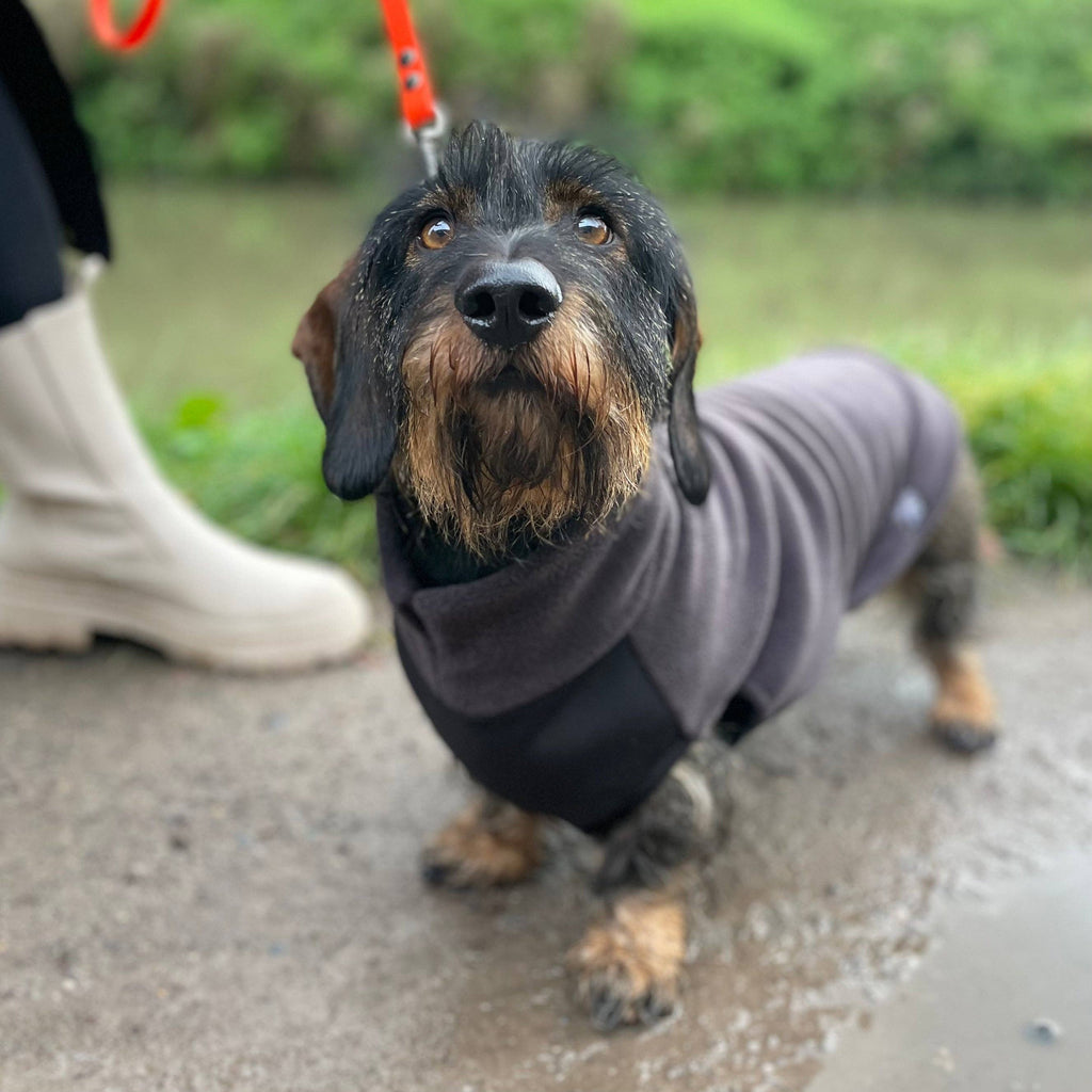 Standard Dackel Fleecepullover | mit wasserdichtem Baucheinsatz - Hundepullover