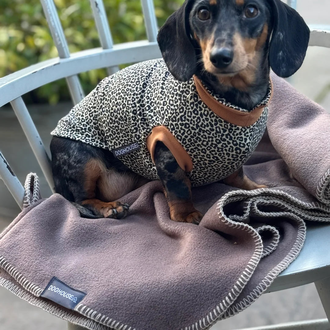 Hundedecke aus Polarfleece | Mokka-Beige - Hundedecke