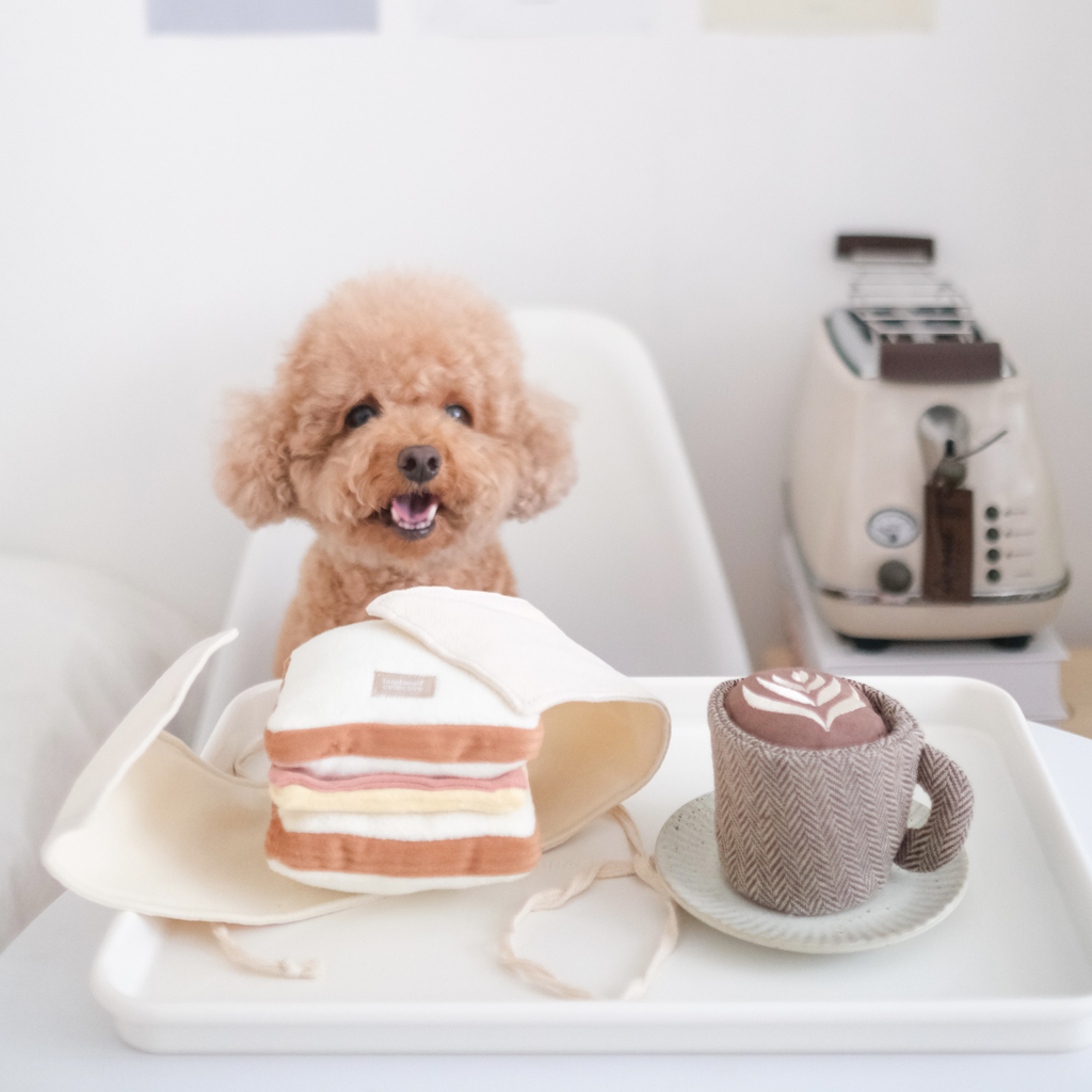 Beschäftigungsspielzeug | LATTE POP - Hundespielzeug
