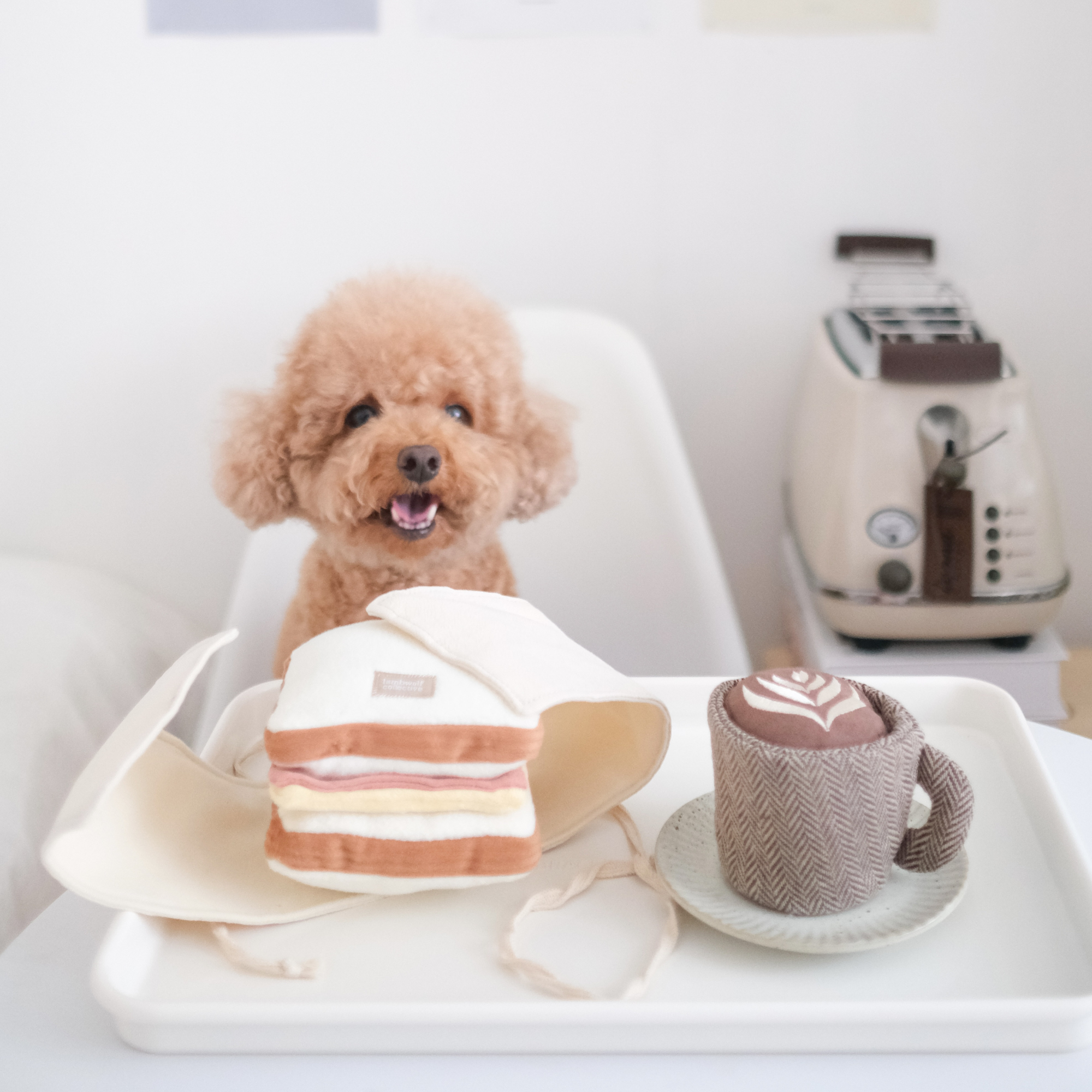 Beschäftigungsspielzeug | LATTE POP - Hundespielzeug