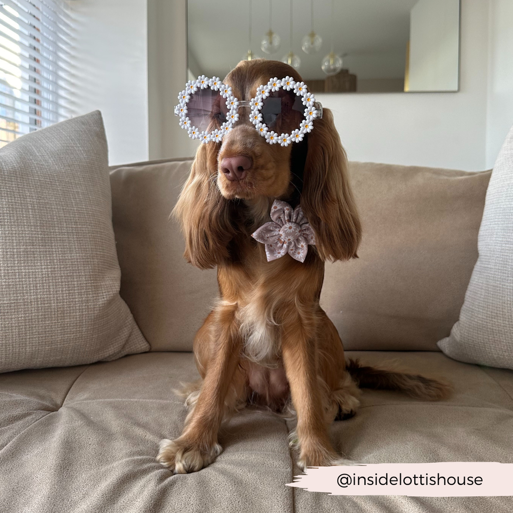 Daisy Chain | Halsbandblume - Halstuch