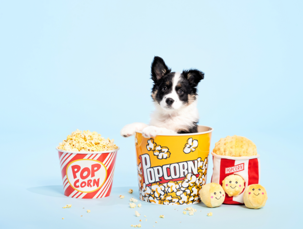 Beschäftigungsspielzeug | Zippy Burrow Popcorn-Eimer - Hundespielzeug