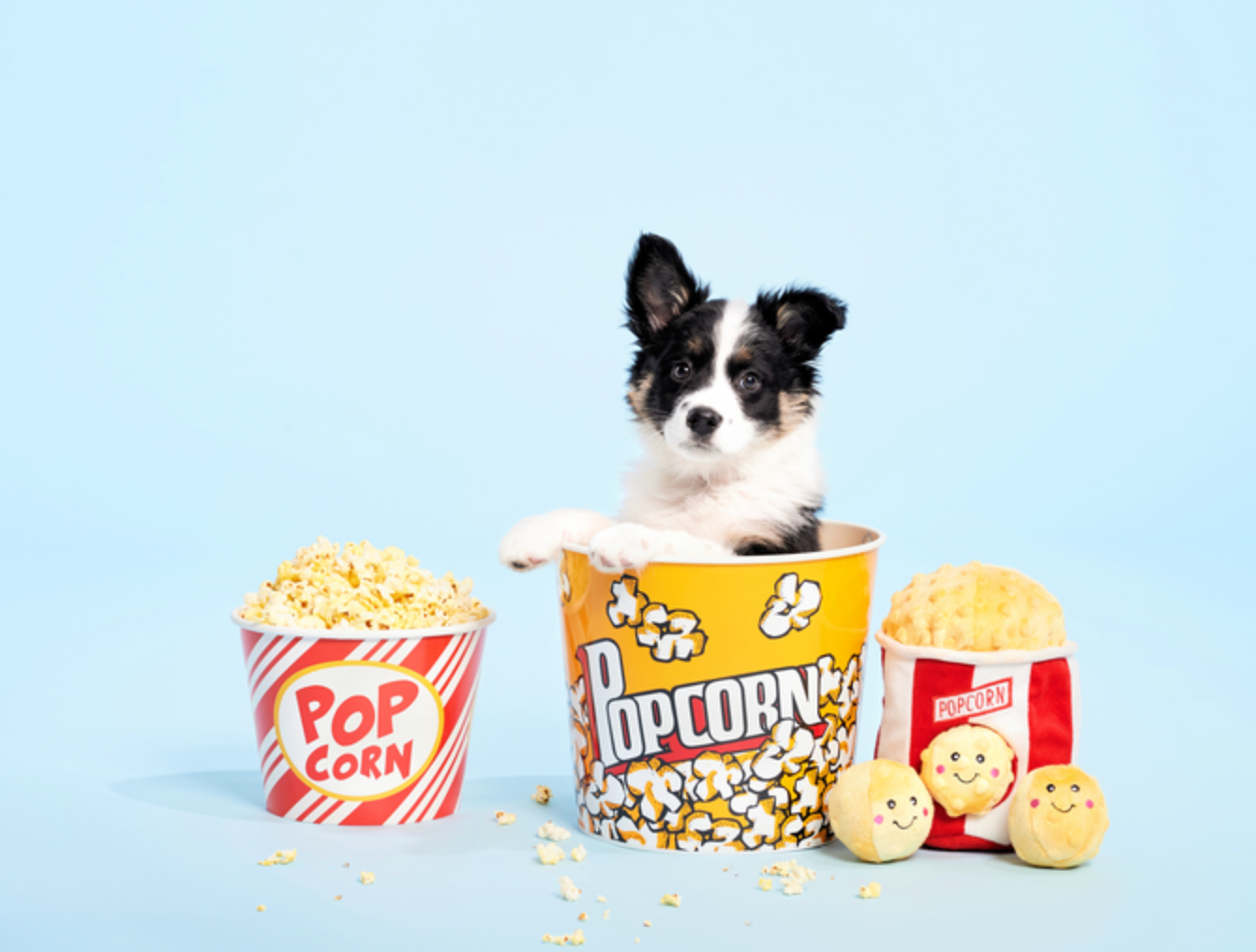 Beschäftigungsspielzeug | Zippy Burrow Popcorn-Eimer - Hundespielzeug