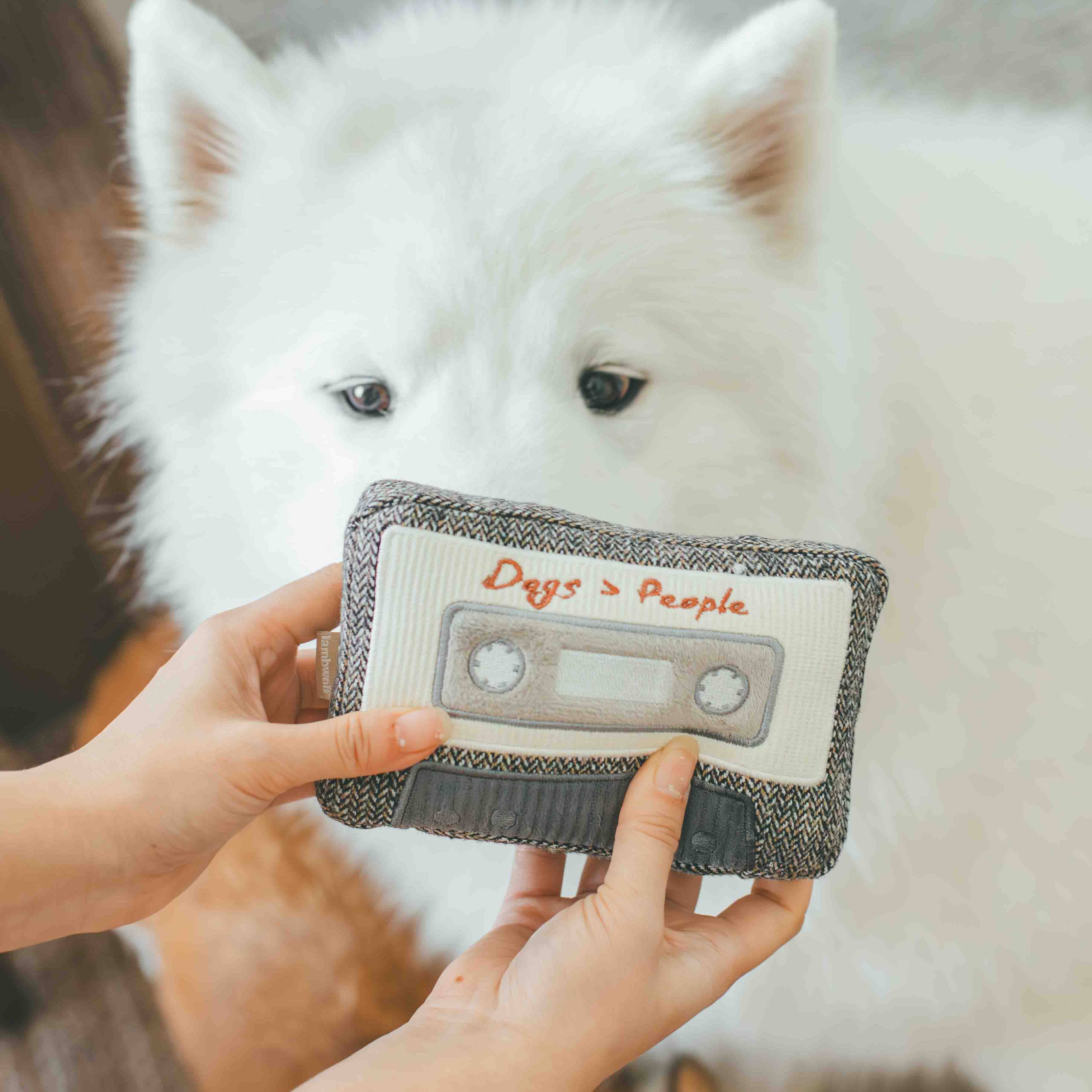 KASSETTE | Beschäftigungsspielzeug - Hundespielzeug