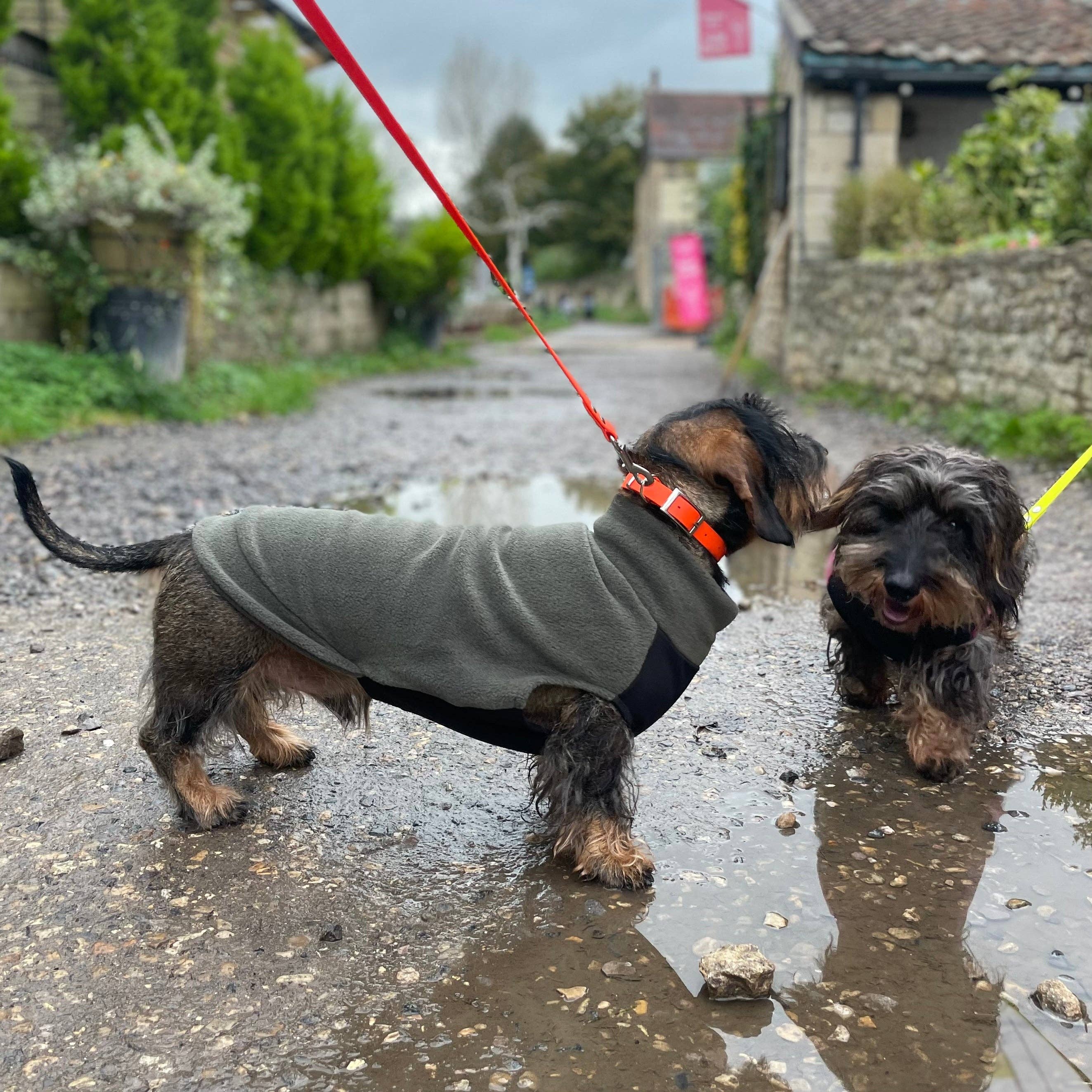 Standard Dackel Fleecepullover | mit wasserdichtem Baucheinsatz - Hundepullover