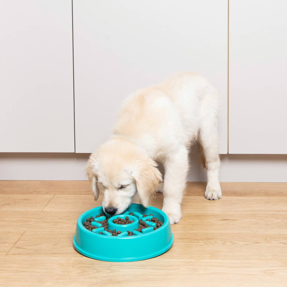 Slow-Feed-Napf | Happy Bowl Donut - Näpfe