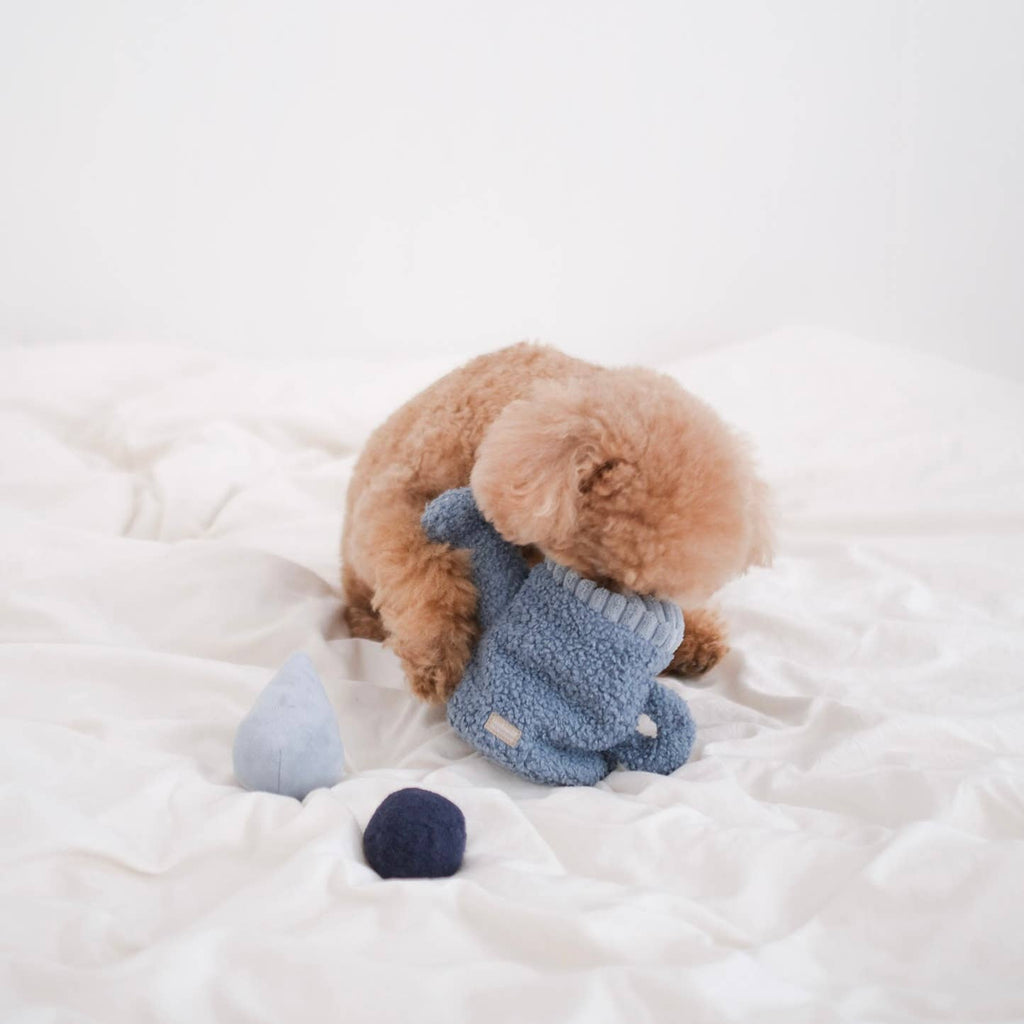 Beschäftigungsspielzeug | Gießkanne - Hundespielzeug