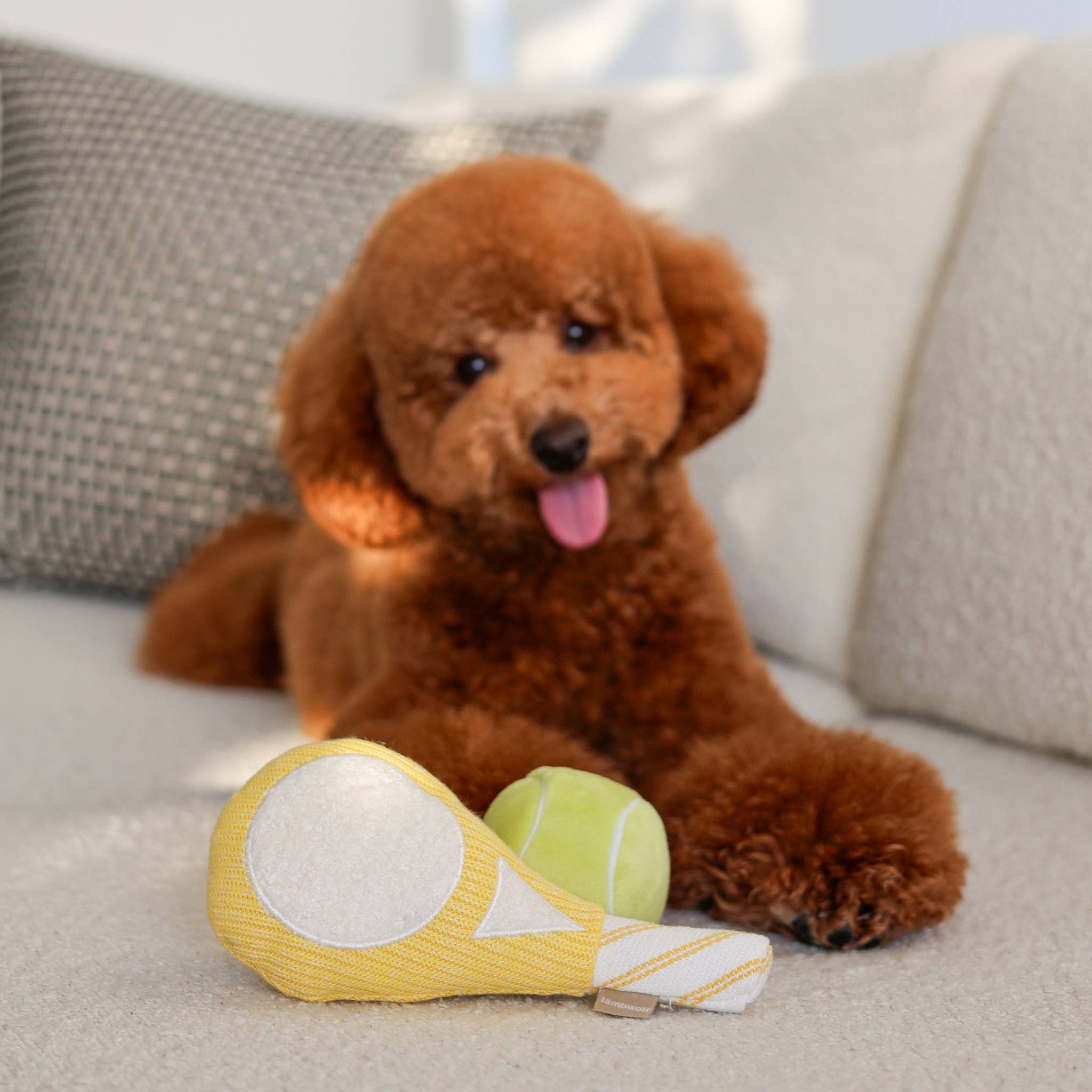 Beschäftigungsspielzeug | TENNIS POP - Hundespielzeug