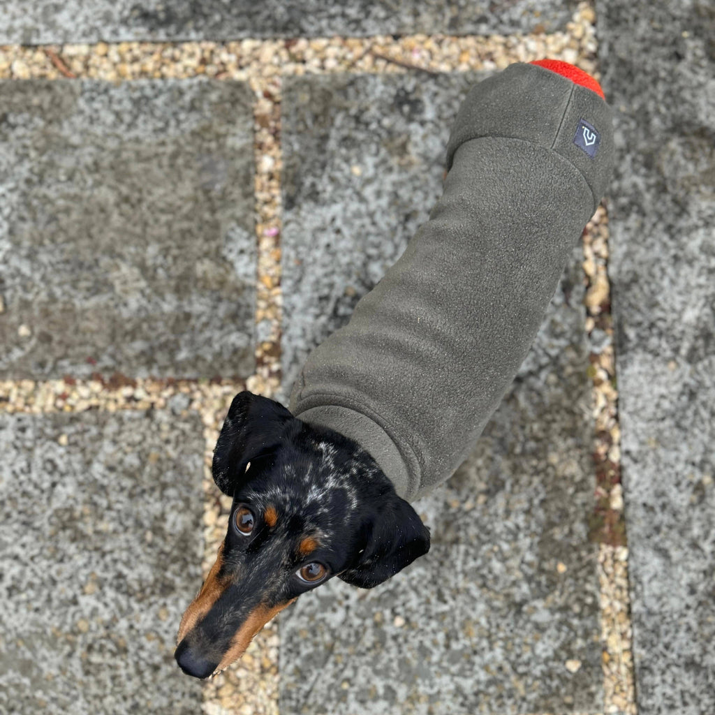 Dackel Fleece Winteranzug | Olive - Hundemantel