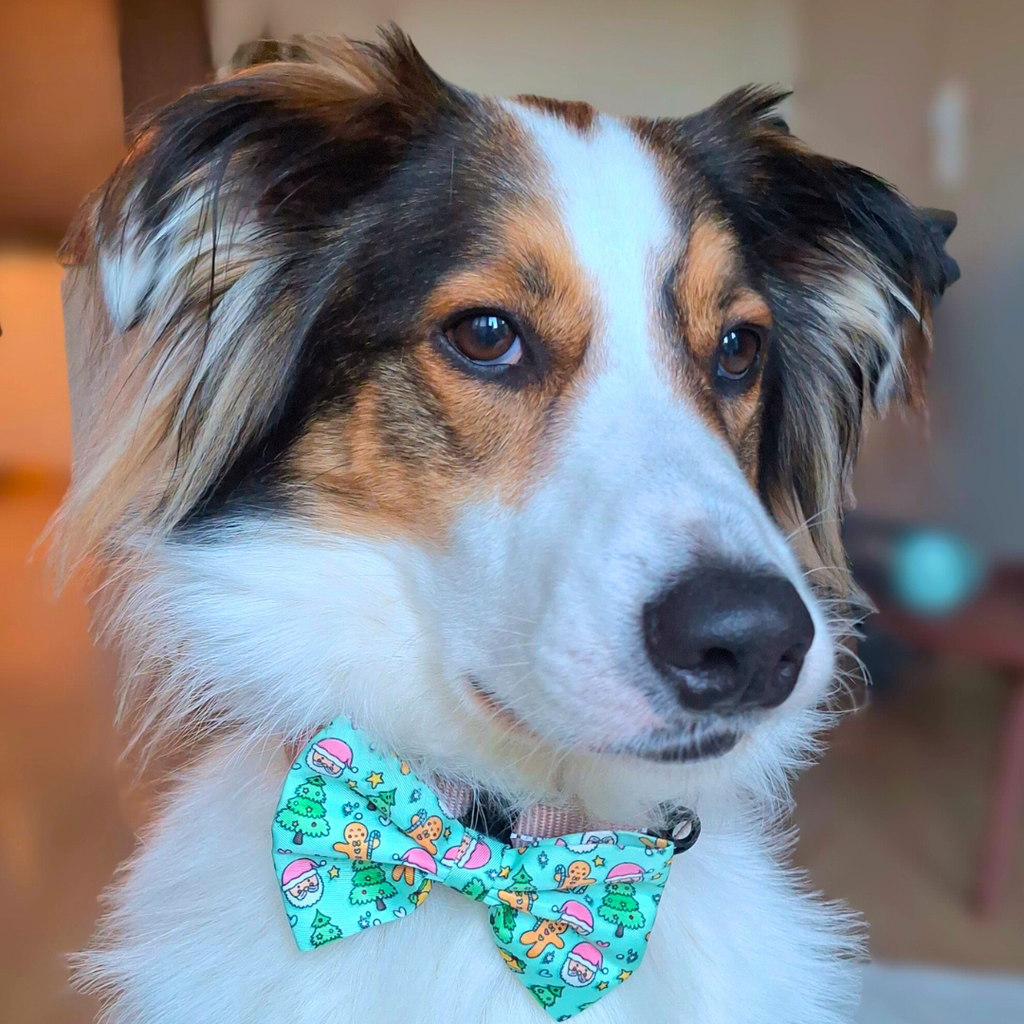 Weihnachtsfliege für Hunde | Jolly Santa - Halstuch