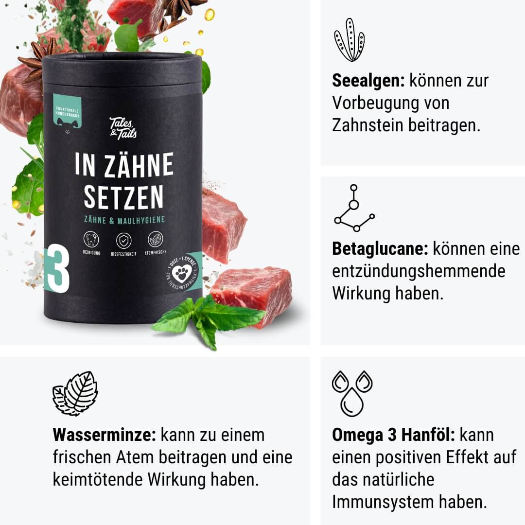 Zahnpflege Snack | In Zähne setzen - Zahnpflege