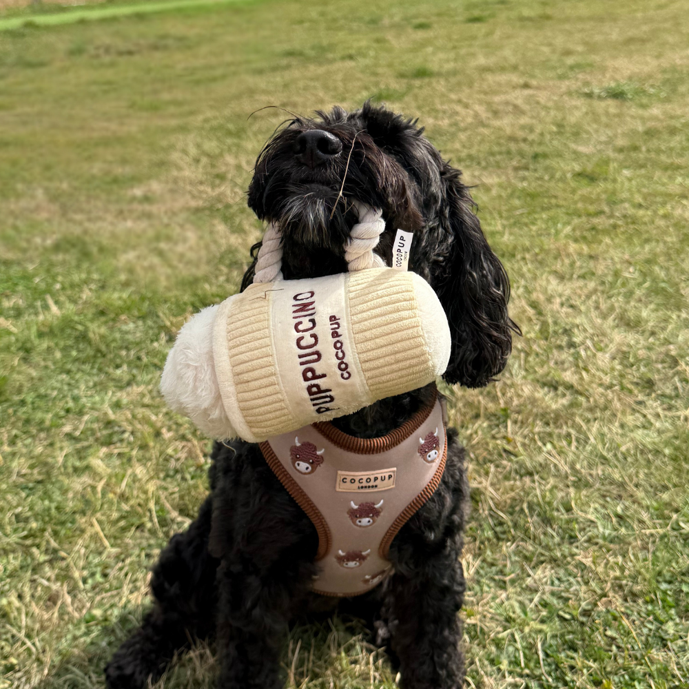 Hundespielzeug | Puppuccino - Hundespielzeug