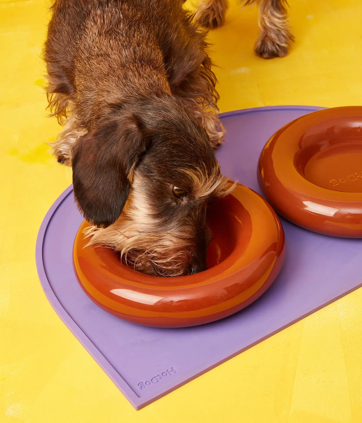 HotDog Keramiknapf für Hunde in Braun