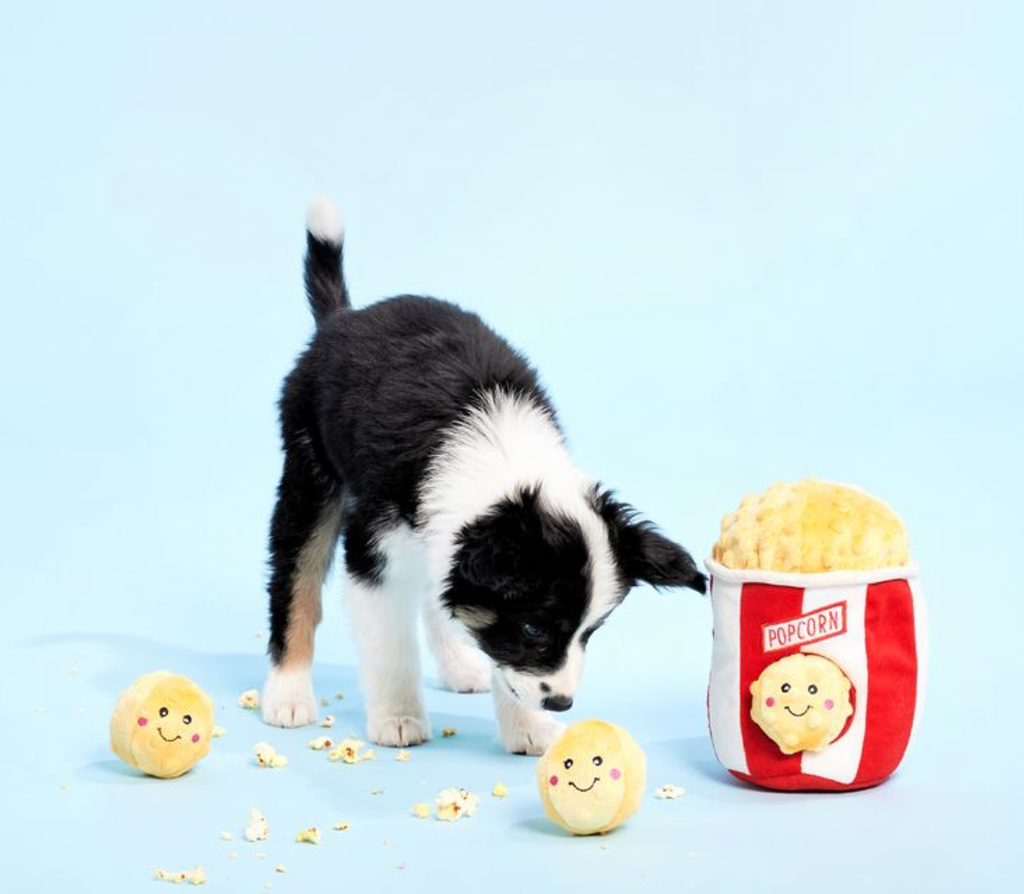 Beschäftigungsspielzeug | Zippy Burrow Popcorn-Eimer - Hundespielzeug