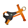 Hundegeschirr Orange | Follow Start - XXS/XS - Geschirr