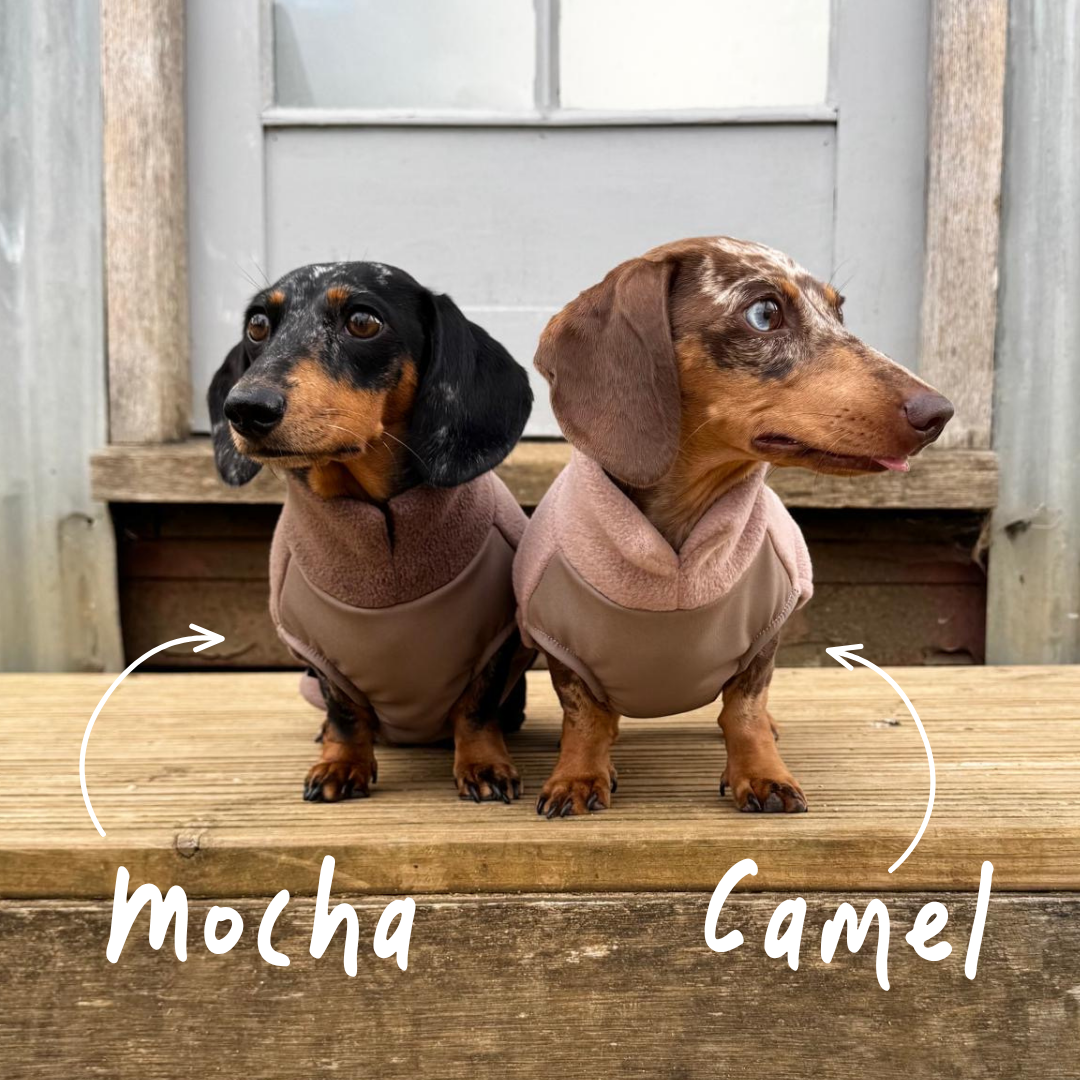 Zwei Dackel im Doghouse Fleecepullover – Mokka und Camel