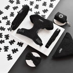 Kotbeutelspender | Teddy Schwarz Baloo - Kotbeutelspender