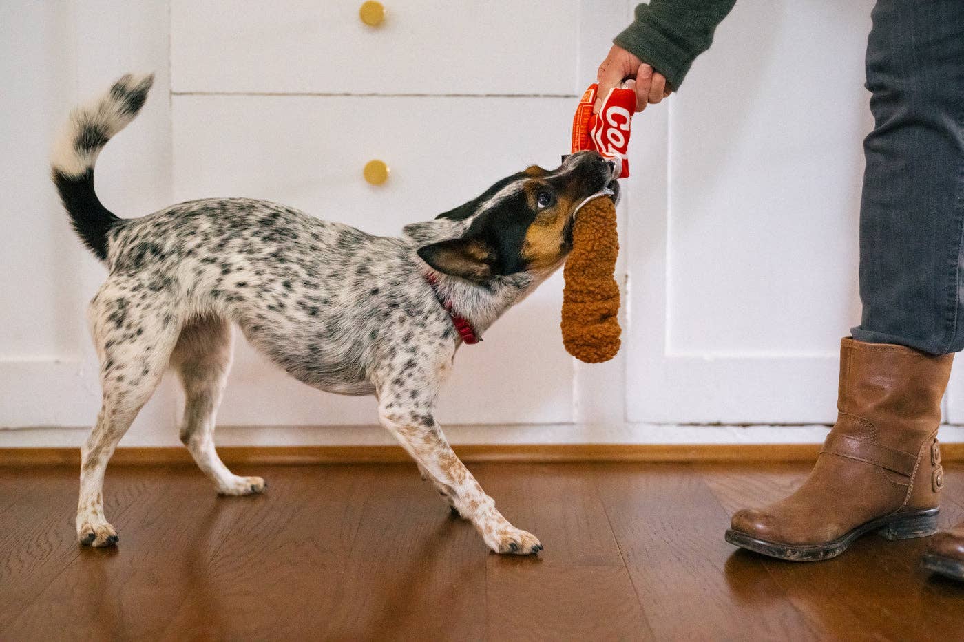 Hundespielzeug | Good Boy Cola Größe M - Hundespielzeug