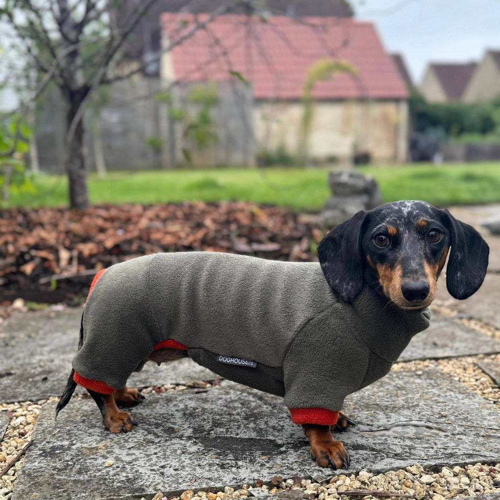 Dackel Fleece Winteranzug | Olive - Hundemantel