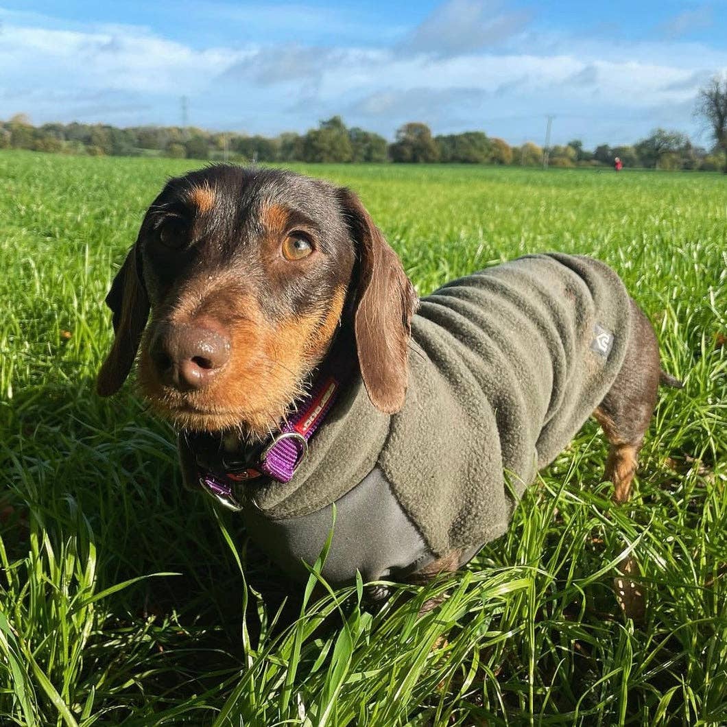 Standard Dackel Fleecepullover | mit wasserdichtem Baucheinsatz | Olive - Hundepullover