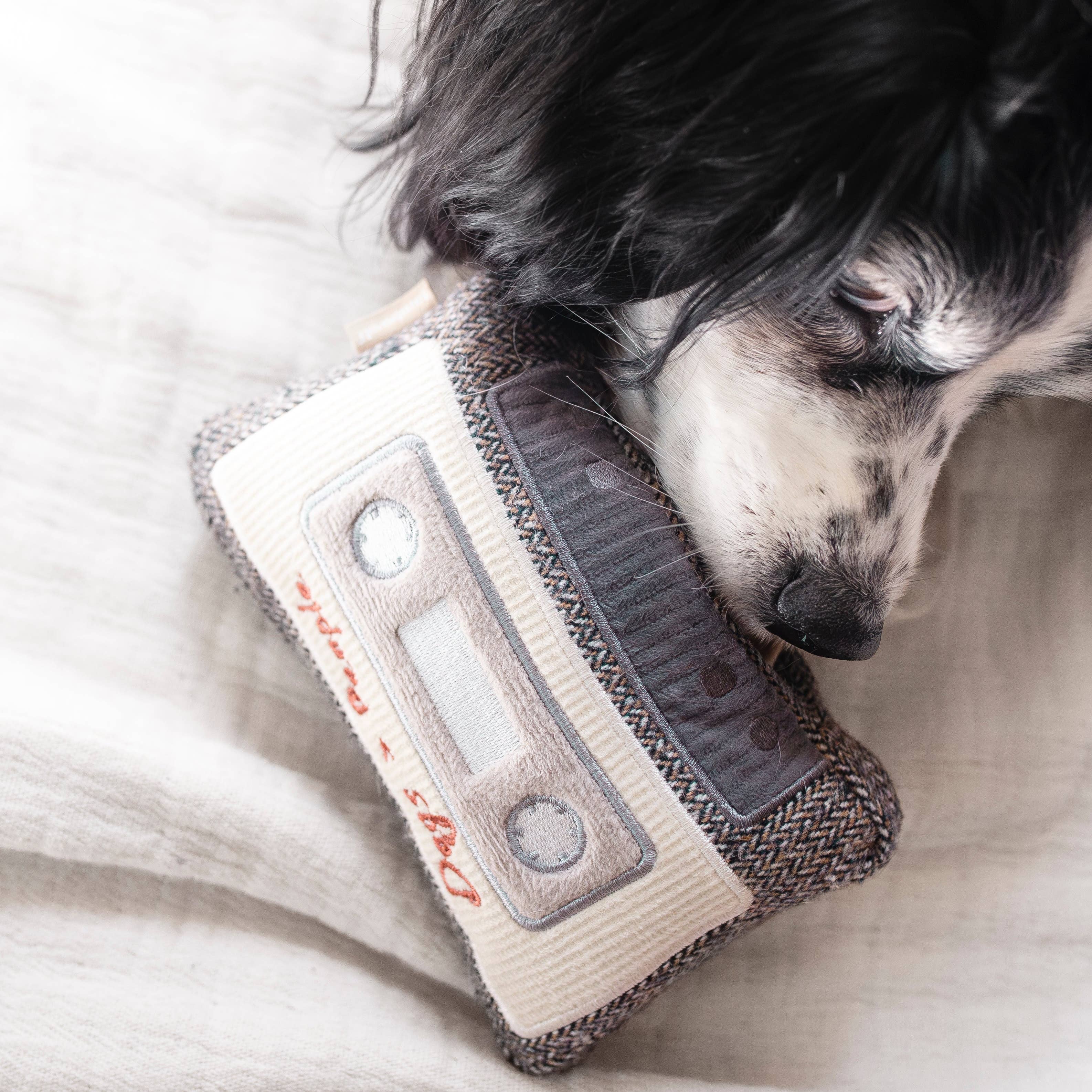 KASSETTE | Beschäftigungsspielzeug - Hundespielzeug