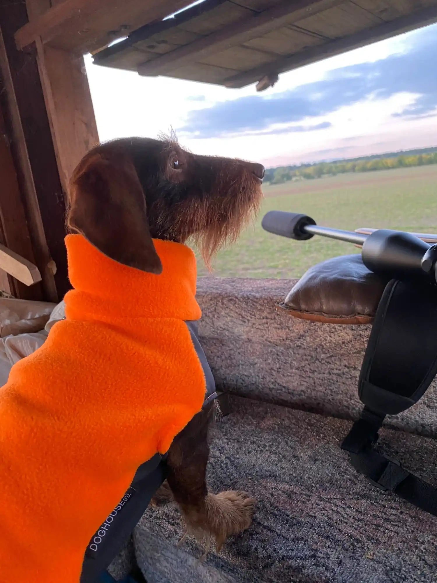 Dackel Fleecepullover mit wasserdichtem Baucheinsatz | Neon Orange - Hundepullover