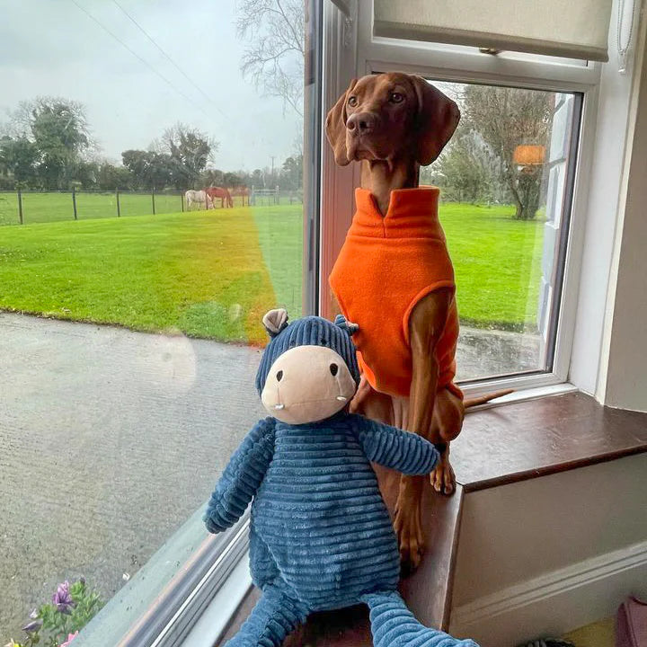 Fleecepullover für grosse Hunde | Neon Orange - Hundepullover