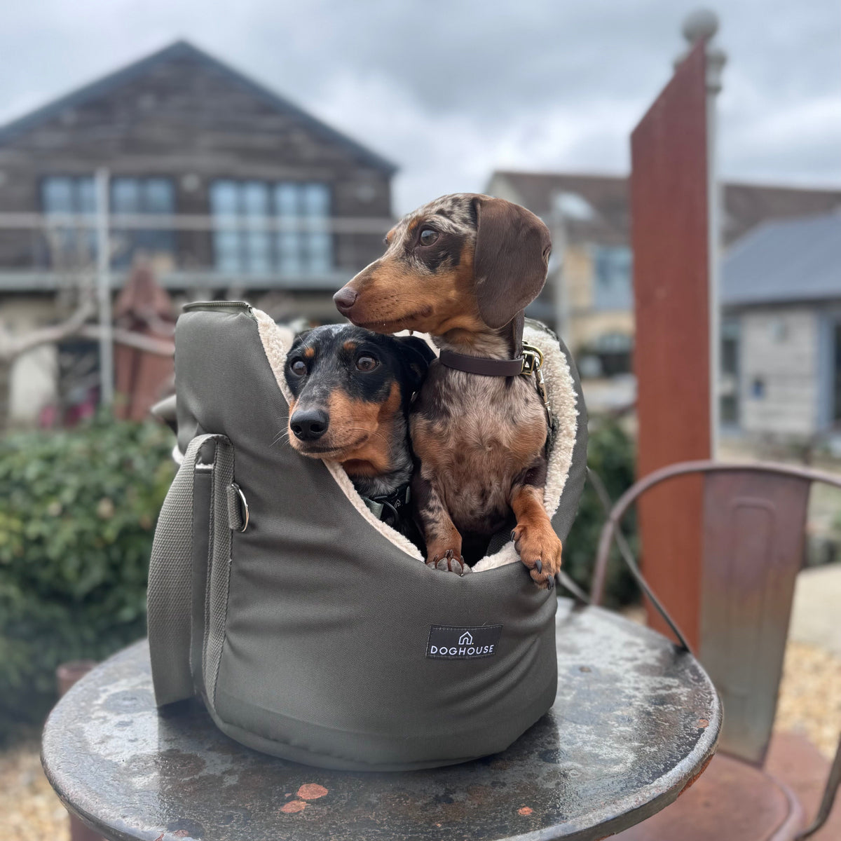 Zwei Dackel in der Doghouse Hundetragetasche Olive