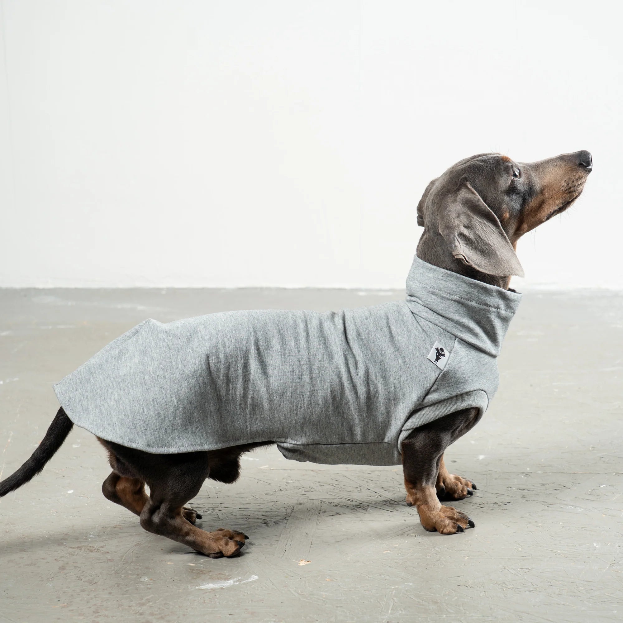 Cotton Shirt für Dackel | Grey Melange - Hundepullover