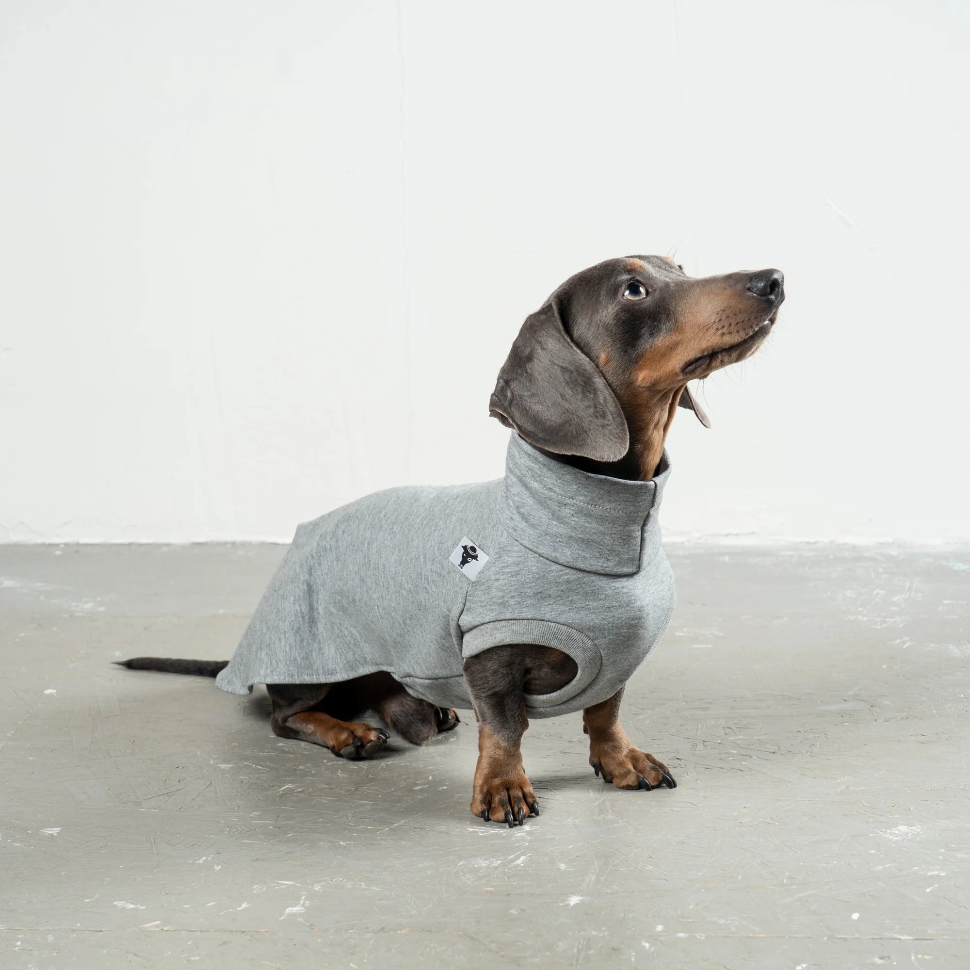 Cotton Shirt für Dackel | Grey Melange - Hundepullover